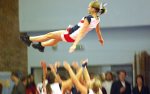 2008_msz_12
