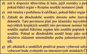 2008_problematikamladeze_02