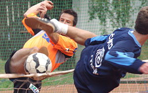 2009_waelsf1_02