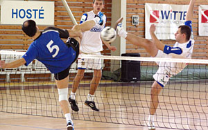 2010_novosad_02