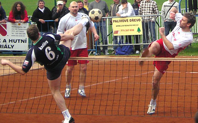 2010_waelzc01_02