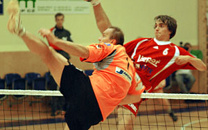 2010_waelzc01_03
