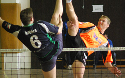 2010_waelzc02_01