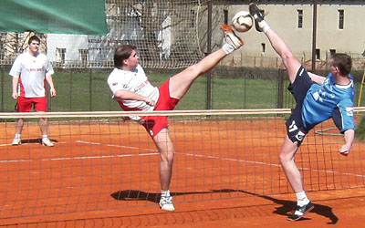 2010_waelzc03_02