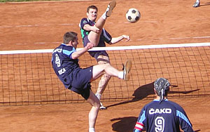 2010_waelzc03_04