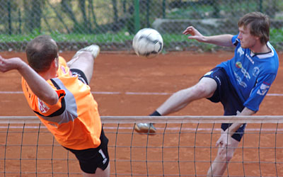 2010_waelzc04_01