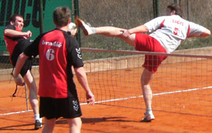 2010_waelzc04_02