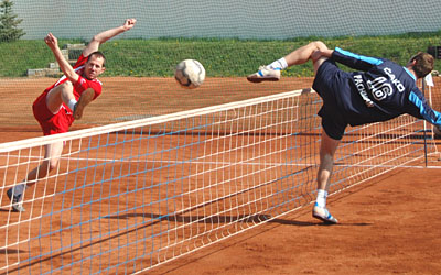 2010_waelzc04_03