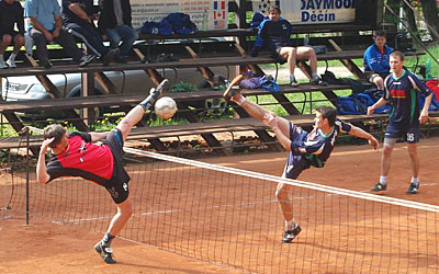 2010_waelzc05_01