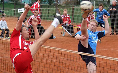 2010_waelzc05_03