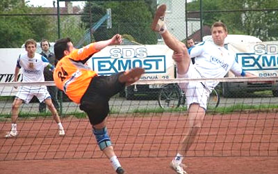 2010_waelzc06_01