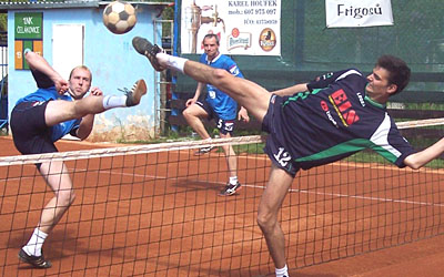 2010_waelzc06_02