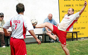 2010_waelzc06_03