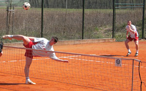 2010_waelzc07_02