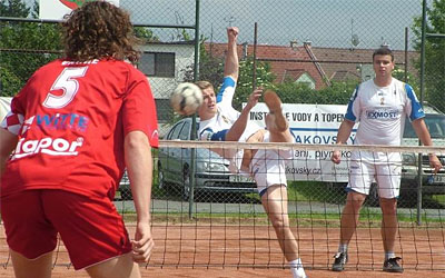 2010_waelzc10_01