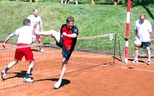 2010_waelzc11_03