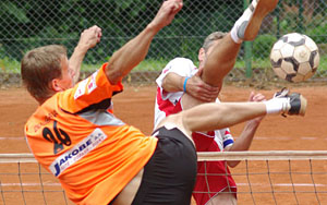 2010_waelzc14_04