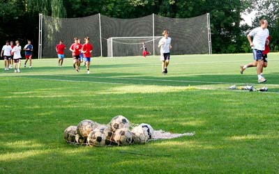 2010_spm_01