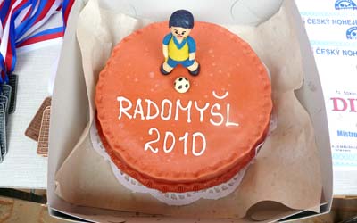 2010_mcrzdr_01