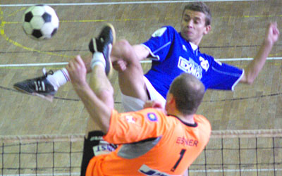 2010_waelf0_01
