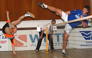 2010_waelf0_03