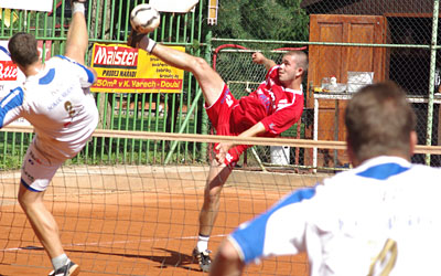 2010_waelpo00_01