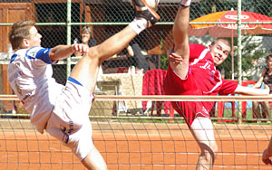 2010_waelsf11_02