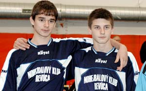 2010_pnvmp_02