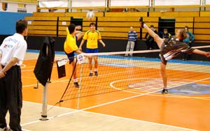2010_pzs_02