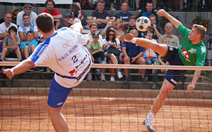 2012_waelsf2_02