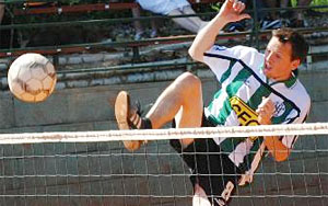 2012_waelsf2_03