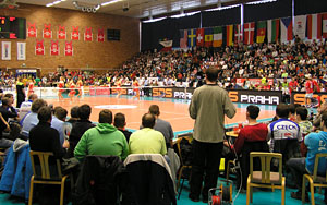 2013_msmuzupittner_02