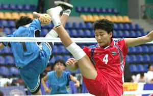 2016 mezinvyvojnula 2